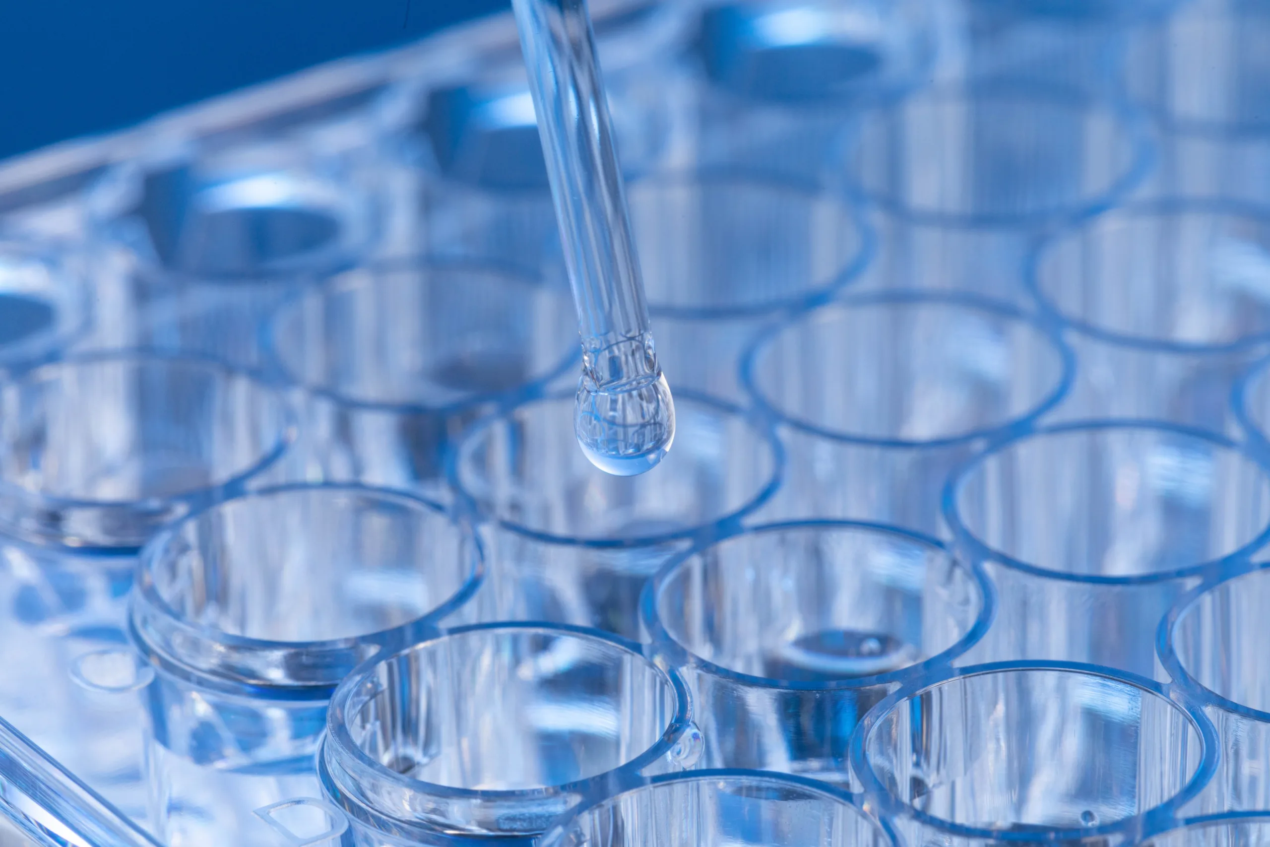 How Much Does Freeze-Drying Affect Peptide Activity?